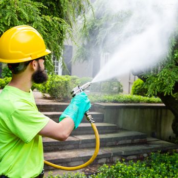 R Moore & Associates Tree Experts - Tree Services Near Me R Moore & Associates Tree Experts - Tree Services Near Me