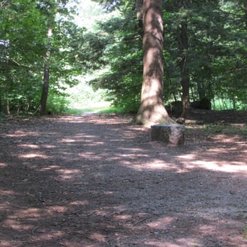 Baxter Woods - Very few hills - Parks Near Me - Portland, Maine