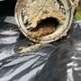 Photo of PMP Plumbing