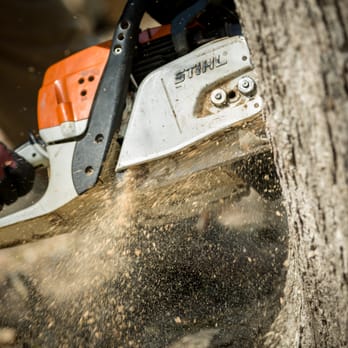 Smokey's Tree & Electrical Service - Tree Services Near Me - Hayes, Virginia Smokey's Tree & Electrical Service - Tree Services Near Me - Hayes, Virginia