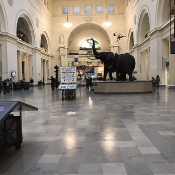 Field Museum - Museums Near Me - Chicago, Illinois Field Museum - Museums Near Me - Chicago, Illinois