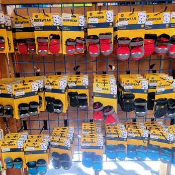 BlueCollar Working Dog - Dog Boots Selection (06/14/21). @BlueCollarWorkingDog #EchoPark #Pets - Pet Training Near Me - Los Angeles, California