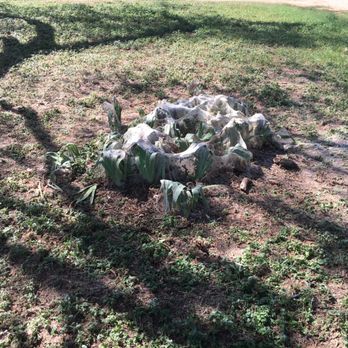 Worth Hills Park - Parks Near Me - Fort Worth, Texas