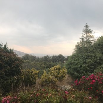Sellick Park - Views - Parks Near Me - South San Francisco, California Sellick Park - Views - Parks Near Me - South San Francisco, California