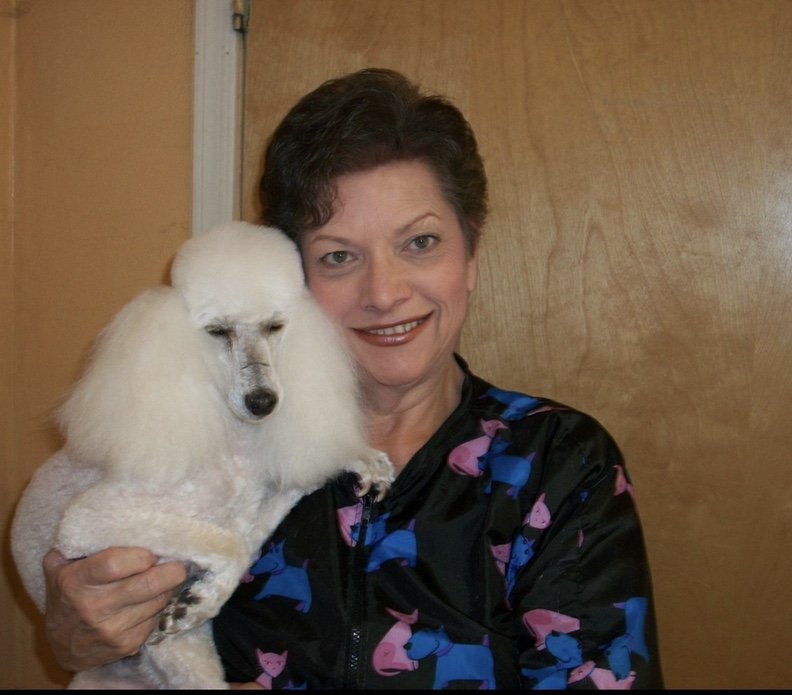 THE CRITTER CLIPPER Updated June 2024 1017 S Westerly Rd, Payson