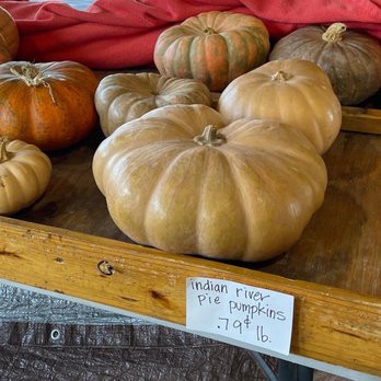 State Farmers Market - Farmers Market Near Me - Raleigh, North Carolina State Farmers Market - Farmers Market Near Me - Raleigh, North Carolina