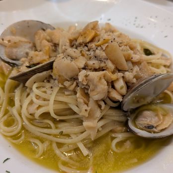 Bellissimo - Linguini white clam sauce - lunch portion - Italian Near Me - Montvale, New Jersey Bellissimo - Linguini white clam sauce - lunch portion - Italian Near Me - Montvale, New Jersey