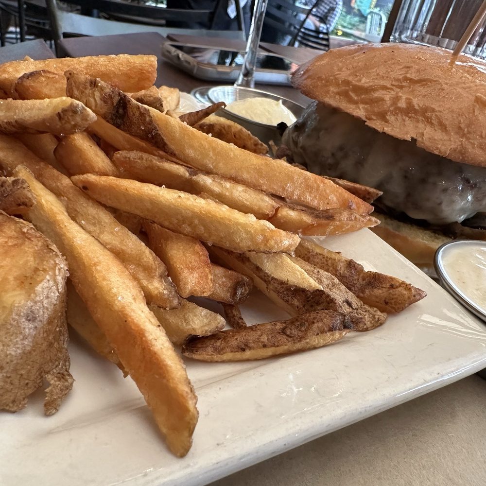 Burger & Fries with 2 dipping sauces