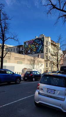 Adams Morgan by null