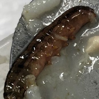 Chillin' Thai Cuisine - Not acceptable extra item inside my coworker food - Thai Near Me - El Monte, California