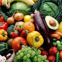 Digestive Health Solutions