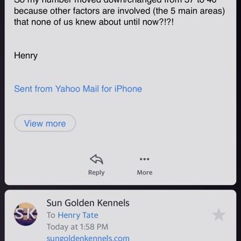 Sun-Golden Kennels - Response from breeder. - Pet Groomers Near Me - Edgerton, Wisconsin Sun-Golden Kennels - Response from breeder. - Pet Groomers Near Me - Edgerton, Wisconsin