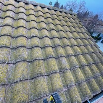 All One Solar Shine - Roof dirty and mossy, 20 years of neglect. - Solar Panel Cleaning Near Me - Sacramento, California