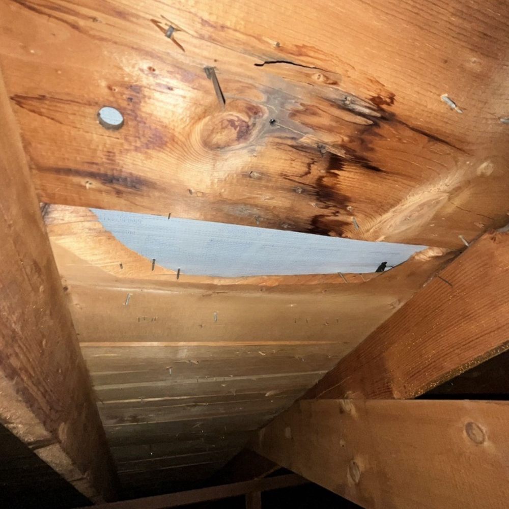 Reliable Solutions Home Inspections - How did you miss this?? - Home Inspectors Near Me - Timnath, Colorado Reliable Solutions Home Inspections - How did you miss this?? - Home Inspectors Near Me - Timnath, Colorado