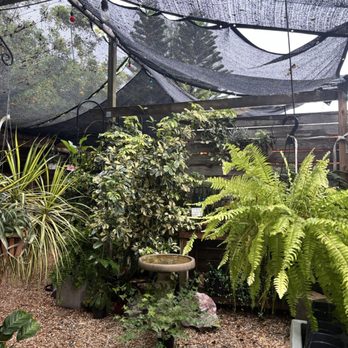 Bloom Garden Shop - Nurseries & Gardening Near Me - Tampa, Florida