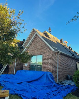 Alpha Exteriors and Construction Logo