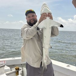 Gullah Gal Fishing