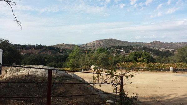 Mahogany Mountain Vineyard and Winery by null