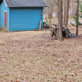 Stump Busters - Tree Services Near Me Stump Busters - Tree Services Near Me