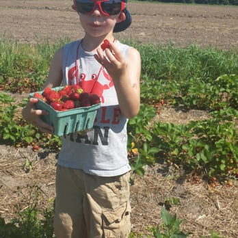 Greg's U-Pick - Pick Your Own Farms Near Me - Clarence Center, New York