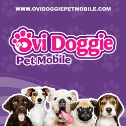 Ovi Doggie Pet Mobile