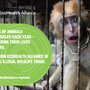 EcoHealth Alliance