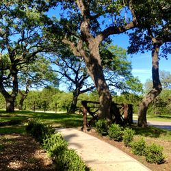 Havenwood Nature School
