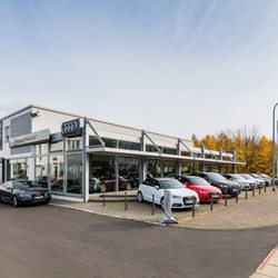 Fleischhauer - Audi