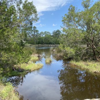 Nocatee Preserve Trail - Nature - Hiking Near Me - Ponte Vedra Beach, Florida