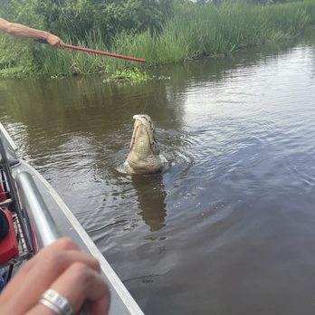 Ragin Cajun Airboat Tours - Boat Tours Near Me - Luling, Louisiana Ragin Cajun Airboat Tours - Boat Tours Near Me - Luling, Louisiana