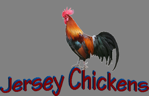 jersey chickens in jackson nj