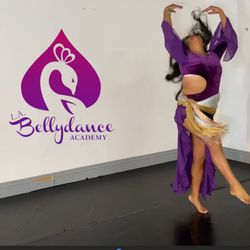L.A. Bellydance Academy - Let the music reveal what the body conceals. Live classes and more...