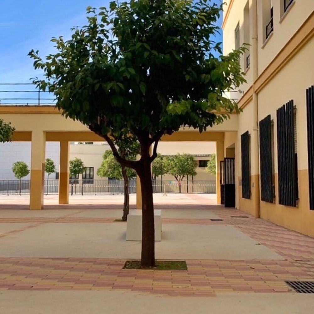 TOP 10 BEST Colegios near Brenes, Sevilla, Spain - Updated 2025 - Yelp