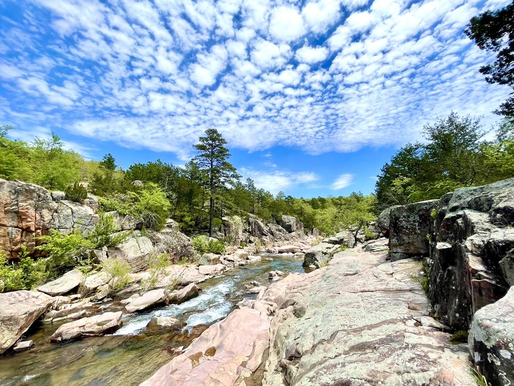 CASTOR RIVER DD HIGHWAY CAMPGROUND Updated October 2024 33 Photos