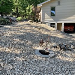 Cut-n-Up Tree Service - Completed job. Love it!