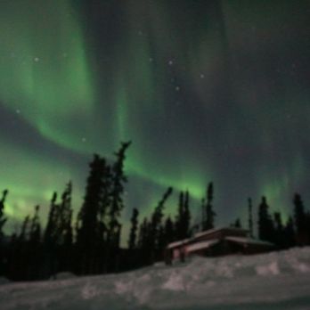 Sirius Sled Dogs - Aurora over Sirius Sled Dogs (before Nita helped me with how to take a picture) - Sledding Near Me - Fairbanks, Alaska