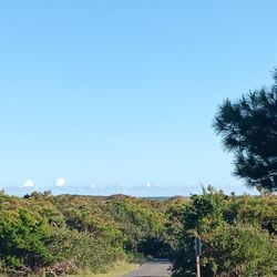 Frisco Campground - Atlantic Ocean