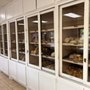 Photo of Las Palmas Bakery