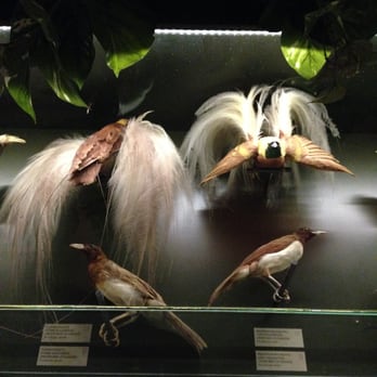 Luonnontieteellinen museo - Museums Near Me - Helsinki, 18