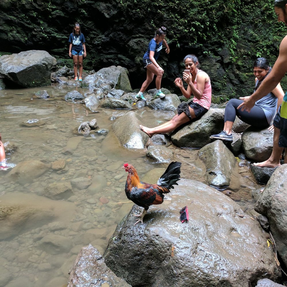 Lulumahu Falls - Hiking Near Me - Honolulu, Hawaii Lulumahu Falls - Hiking Near Me - Honolulu, Hawaii