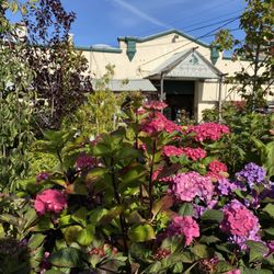 Sloat Garden Center