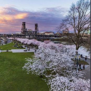 Tom McCall Waterfront Park - Parks Near Me - Portland, Oregon Tom McCall Waterfront Park - Parks Near Me - Portland, Oregon