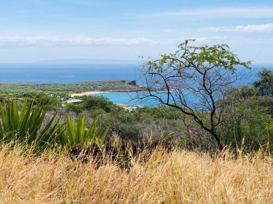 Manele Golf Course by null
