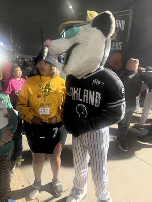 Raimondi Park by null