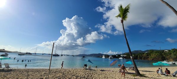 Dinghy's Beach Bar & Grill by null