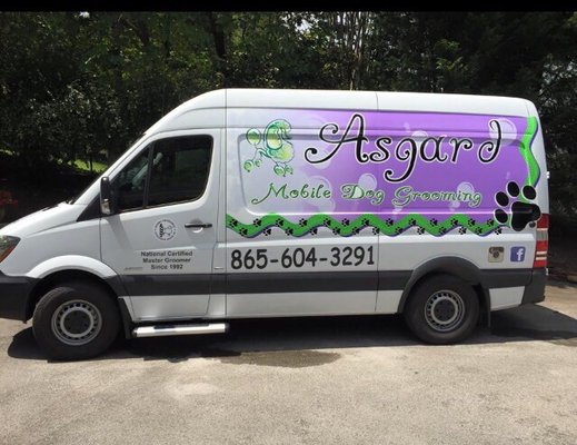 foster rescue dogs near me