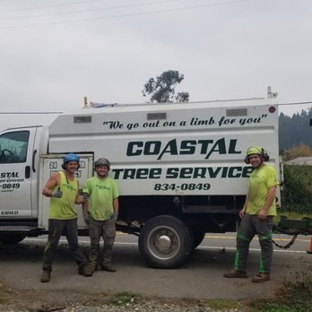 Coastal Tree Service - Thank you! John, Caleb and Andrew! - Tree Services Near Me - Mckinleyville, California Coastal Tree Service - Thank you! John, Caleb and Andrew! - Tree Services Near Me - Mckinleyville, California
