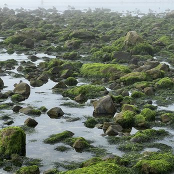 Cannon Beach - Beaches Near Me Cannon Beach - Beaches Near Me