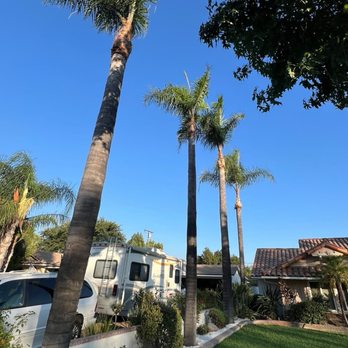 Arthur’s Landscaping and Tree Services - Landscaping Near Me Arthur’s Landscaping and Tree Services - Landscaping Near Me