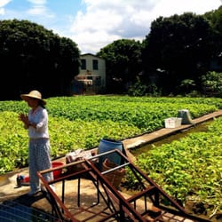 馬寶寶社區農場